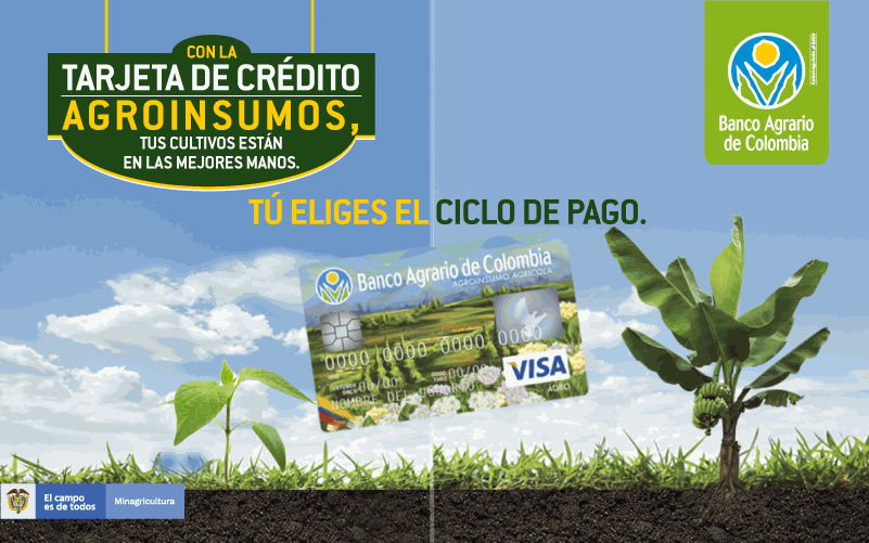 Odoo • Imagen y texto